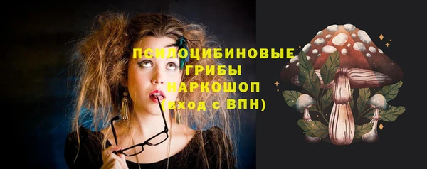бошки Алексин