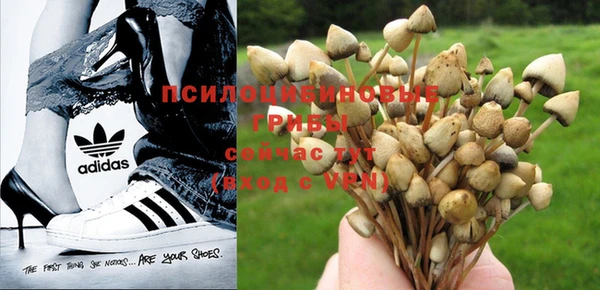 бошки Алексин