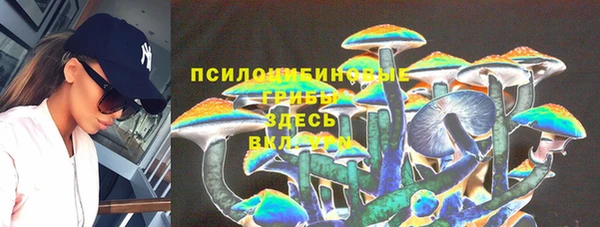 бошки Алексин